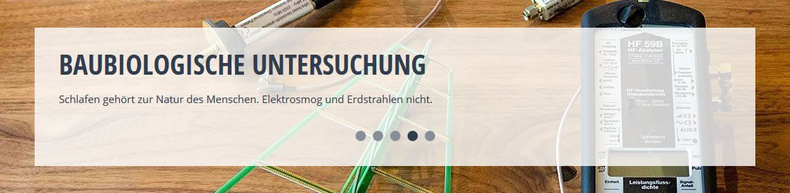 Baubiologische Untersuchungen in 09669 Frankenberg (Sachsen)